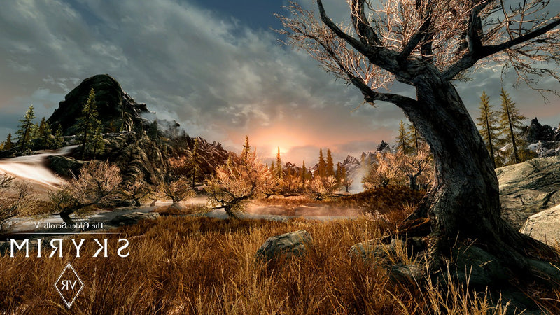 Skyrim VR :The Elder Scrolls V  Steam Key 日本語対応