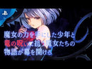 竜星のヴァルニール Steam Key  日本語対応